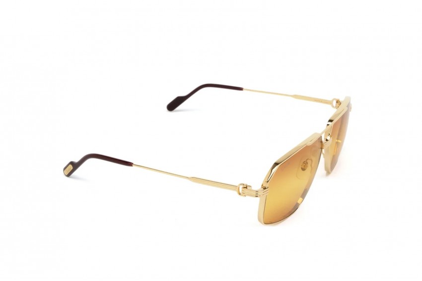 Cartier CT0270S 013