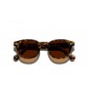 MOSCOT LEMTOSH TORTOISE POLAR