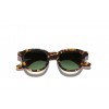 MOSCOT DAHVEN TORTOISE FORESTWOOD