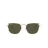 Ray-Ban RB3857 FRANK 9196/58